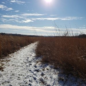Meet your Posher, Cathy